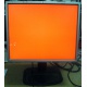 Монитор 19" TFT HP 1955 (DVI в Чехове, USB-хаб) "квадратный" (Чехов)