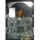 Электроника жёсткого диска 146Gb HP 481653-002 DF146BAFDU (Чехов)