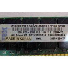IBM 39M5811 39M5812 2Gb (2048Mb) DDR2 ECC Reg memory (Чехов)