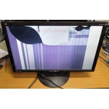 ViewSonic VA2413WM-2 разбитая матрица (Чехов)