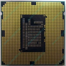 Процессор Intel Celeron G1620 (2x2.7GHz /L3 2048kb) SR10L s.1155 (Чехов)