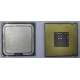 Процессор Intel Celeron D 336 (2.8GHz /256kb /533MHz) SL98W s.775 (Чехов)