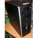 БУ компьютер HP Compaq Elite 8300 (Intel Core i3-3220 (2x3.3GHz HT) /4Gb /250Gb /ATX 320W) - Чехов