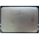 AMD Opteron 6128 OS6128WKT8EGO (Чехов)