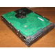 Жесткий диск 300Gb 15k Seagate Cheetach ST3300656SS 15K.6 Dell 9CH066-050 6G SAS (Чехов)